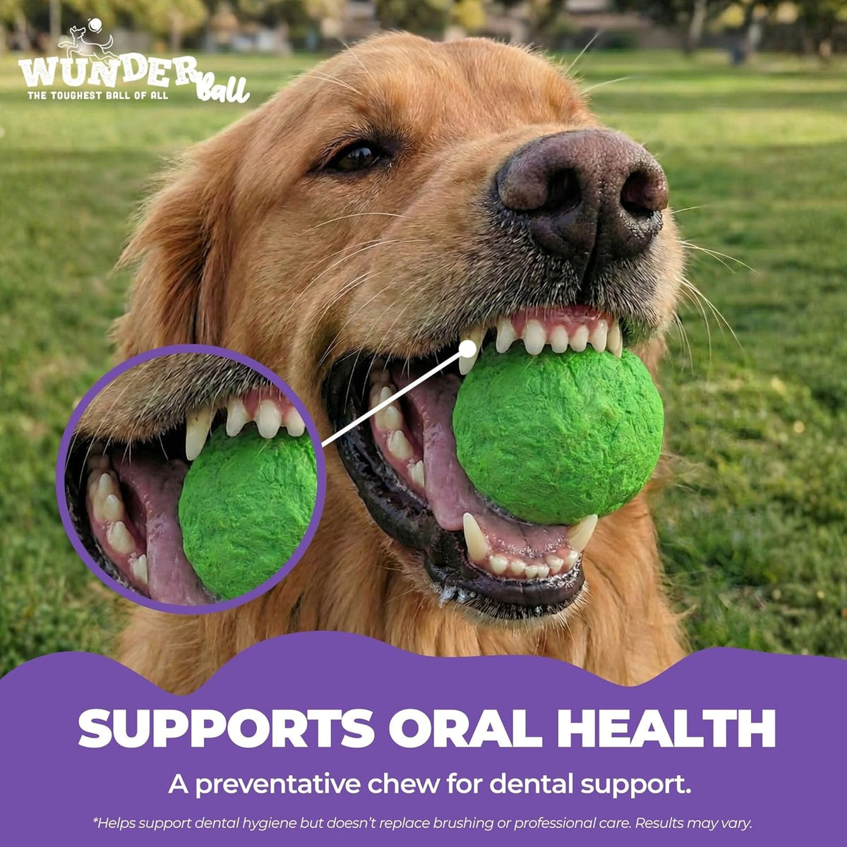 Green textured dog fetch ball held in a dog’s mouth.
