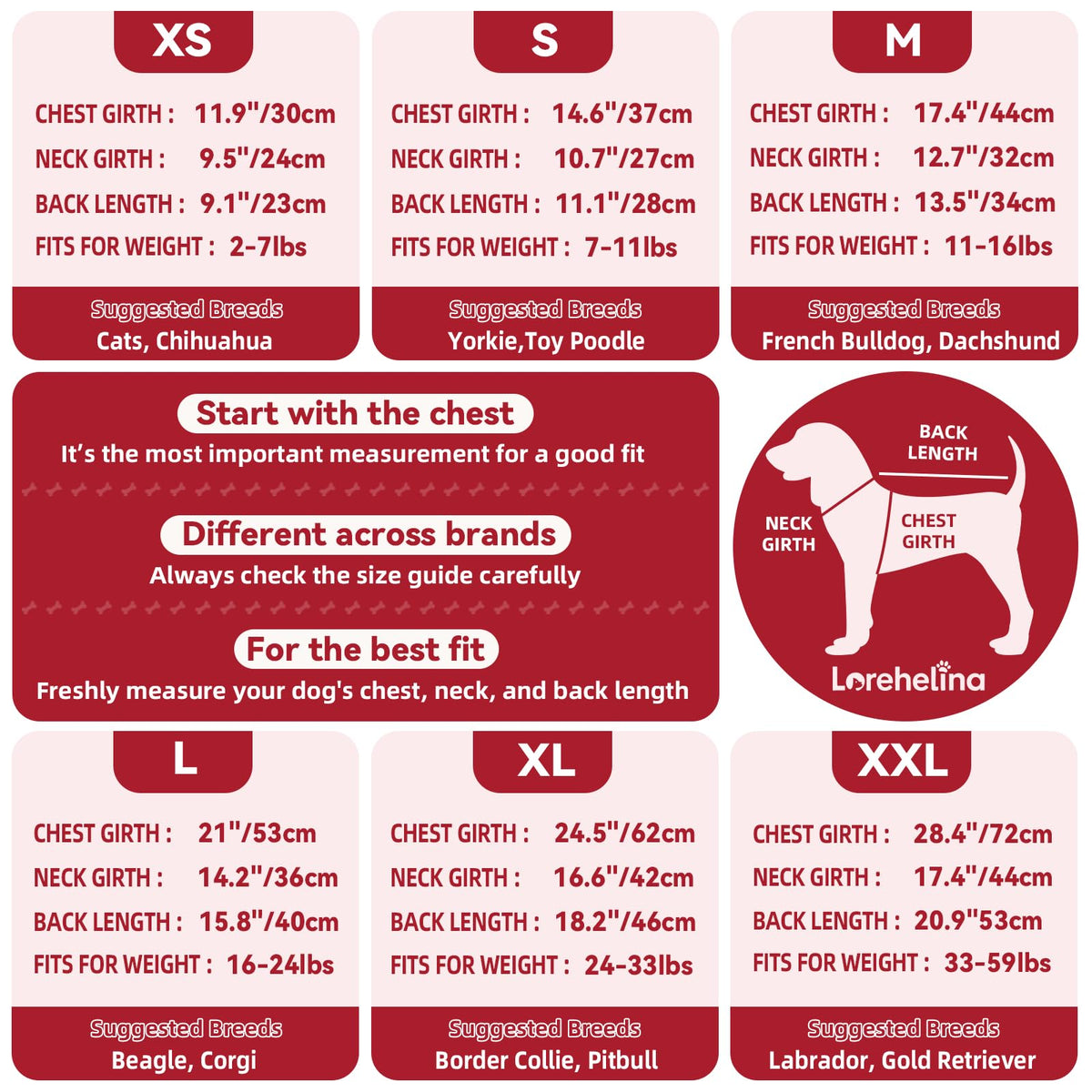 Dog sweater size guide poster for Lorehelina turtleneck, with chest and back length chart