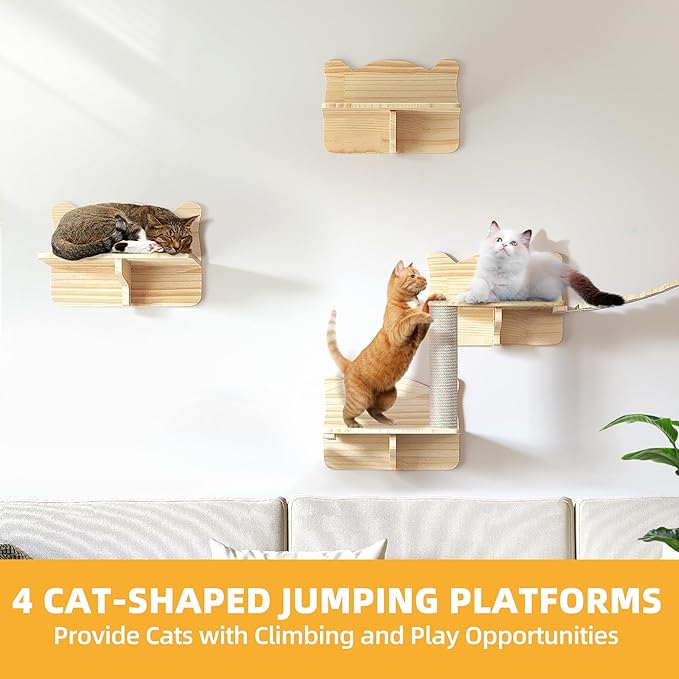 Cat wall shelf set with round elevated perch and curved tunnel, cats resting