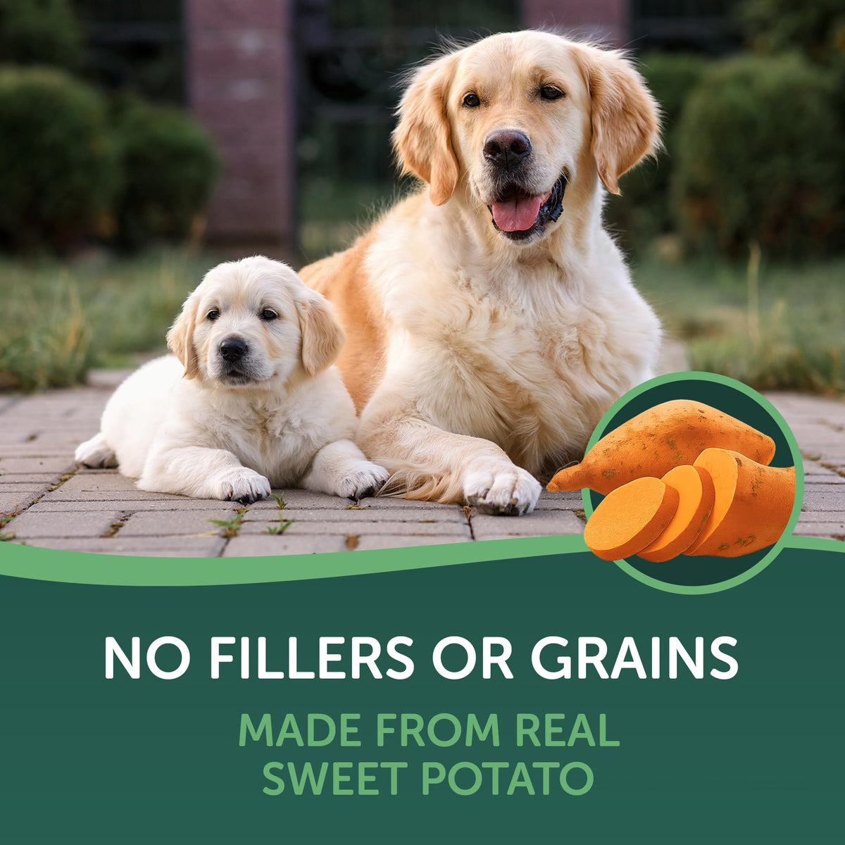 Two dogs with orange sweet potato slice graphic for Healthfuls Sweet Potato Slices