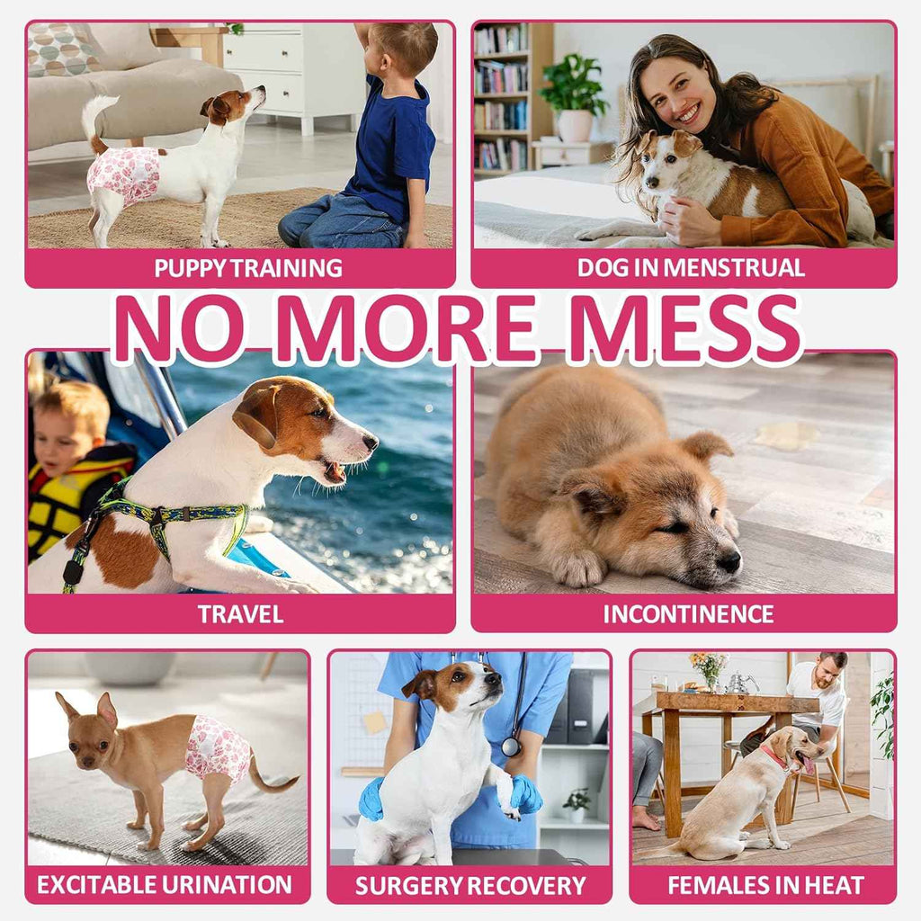 Disposable dog diapers shown in use for training, travel, recovery, and other needs.