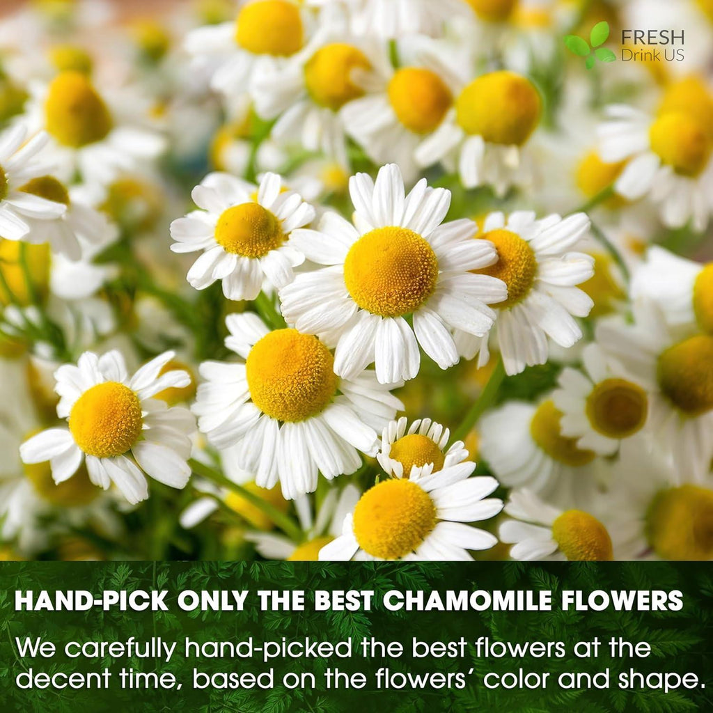 Close-up chamomile flowers for tea bags, white petals with yellow centers
