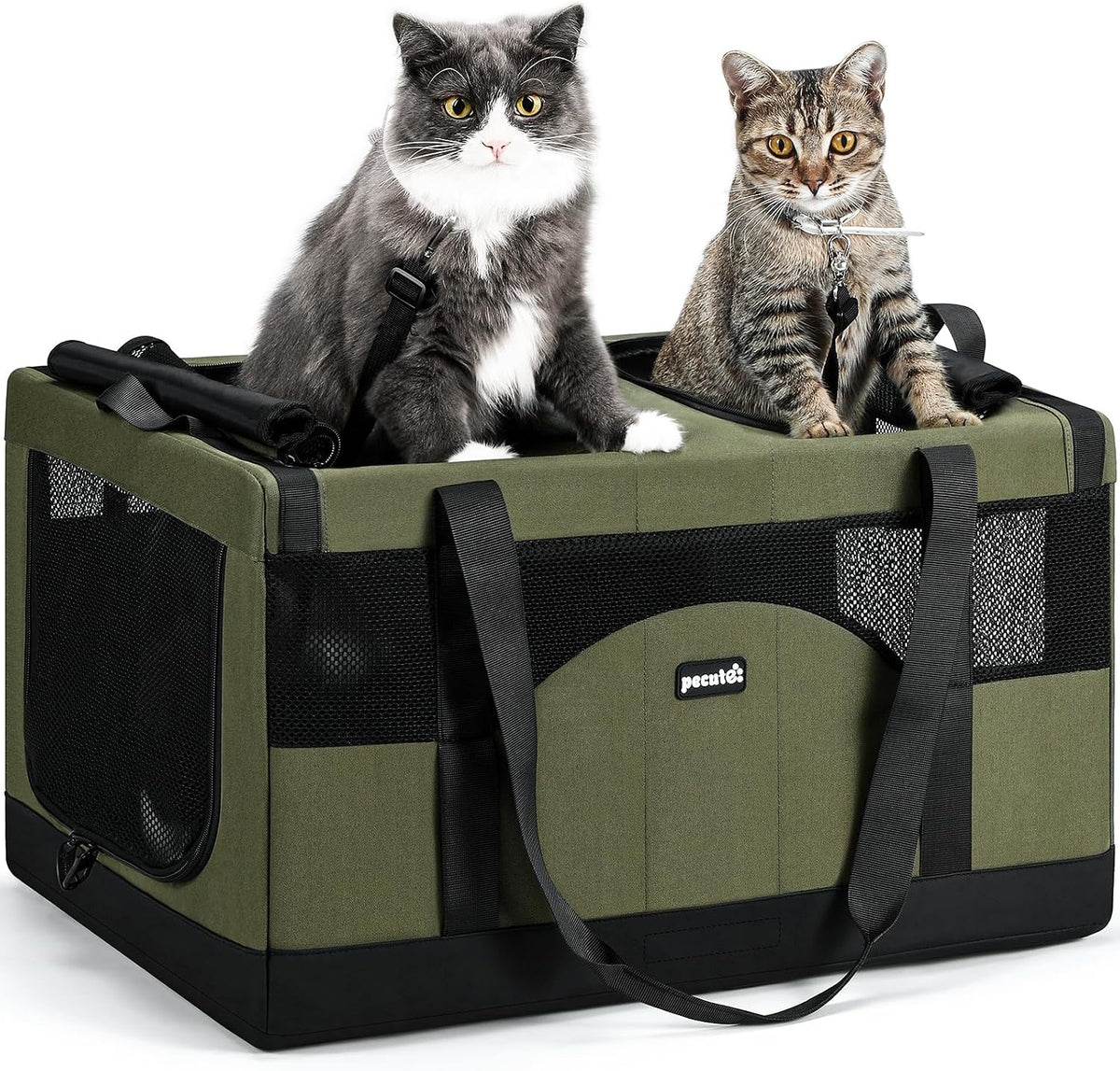 Green double-compartment cat carrier with mesh windows and long black carrying straps