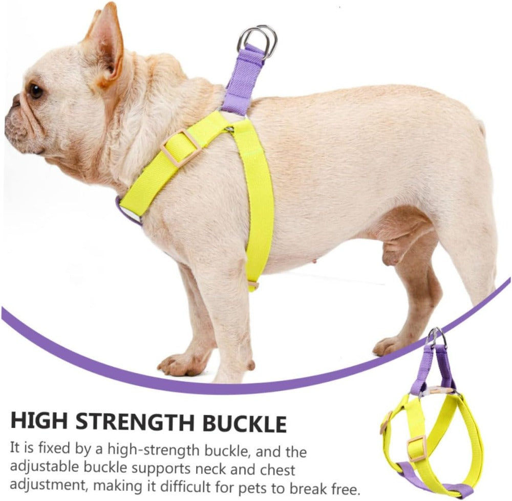 Purple and yellow dog harness with adjustable front buckle and chrome D-ring