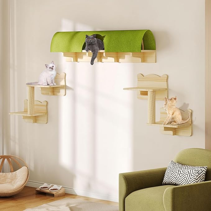 Cat climbing wall shelves set with green tunnel bed, wooden perches and steps
