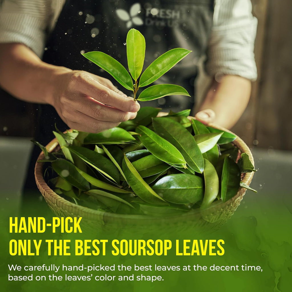 Hand holding soursop leaves above a woven basket, fresh tea ingredient