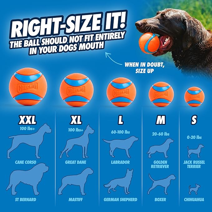 Orange and blue ChuckIt ultra dog balls shown in multiple sizes