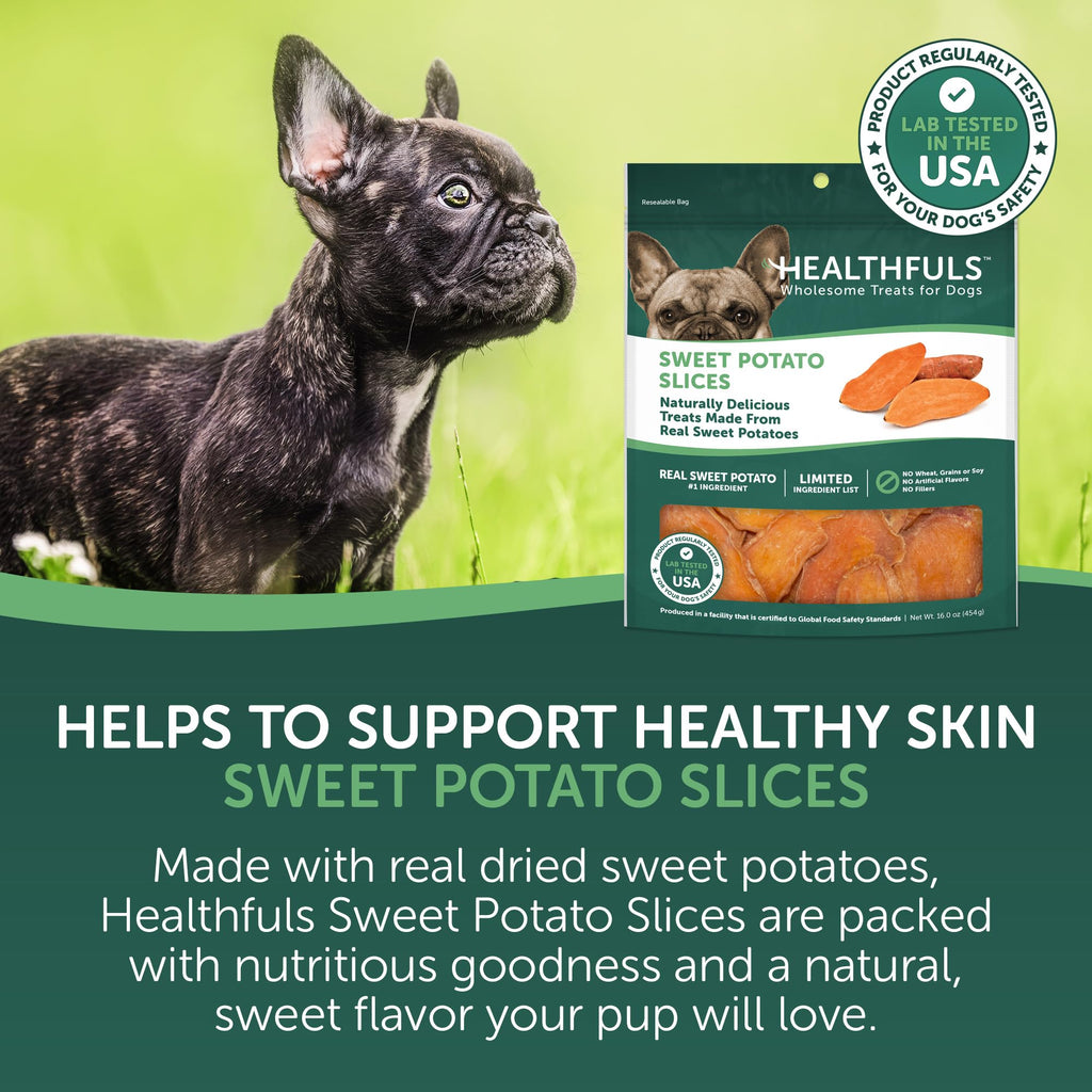 Dog with Healthfuls Sweet Potato Slices treat bag and orange sweet potato slices