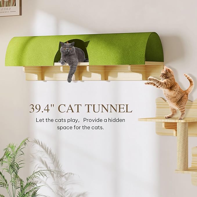 Wooden cat wall climbing set with green tunnel bed and hemp rope scratching post, cats on shelves