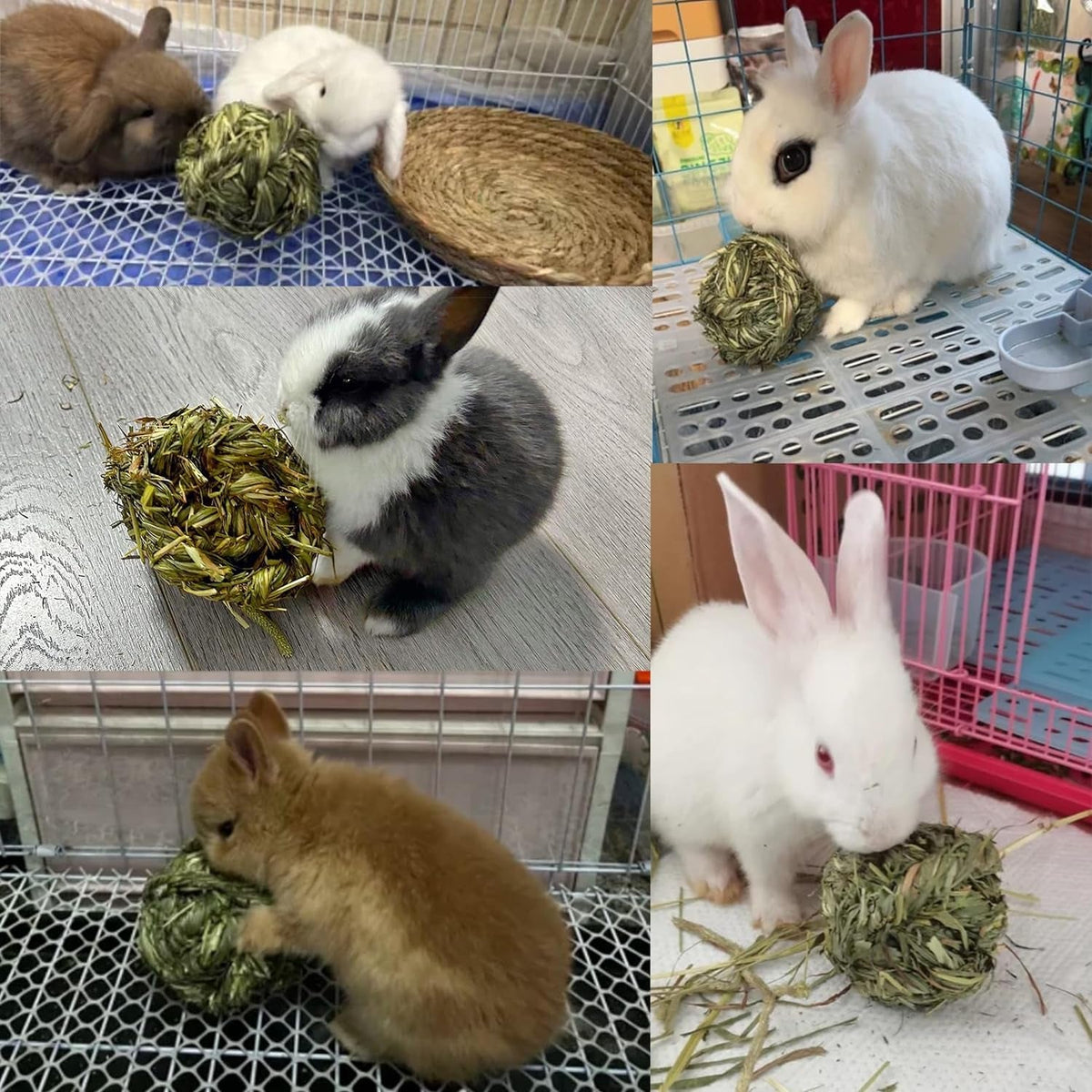 Timothy grass chew ball shown with rabbits chewing and playing with it