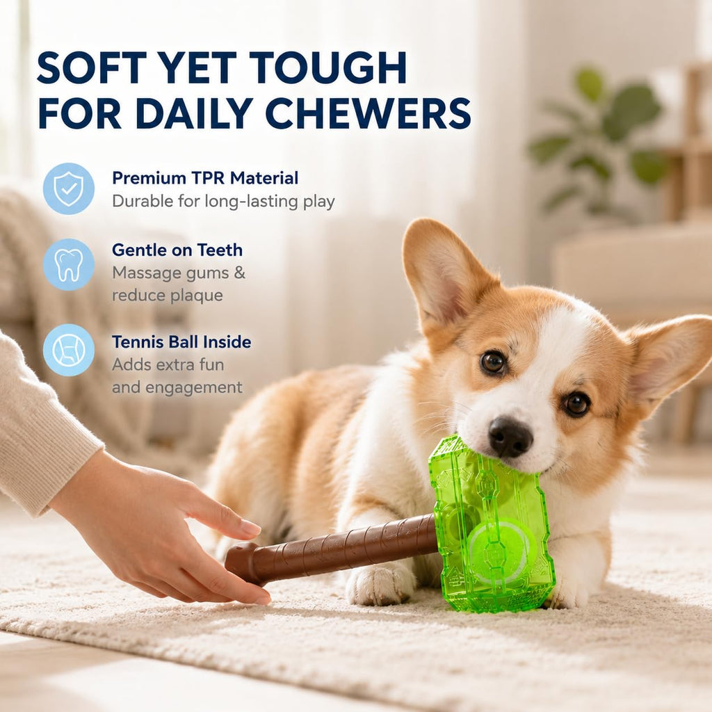 Green tennis ball bottle dog chew toy with brown handle for gentle daily chewing