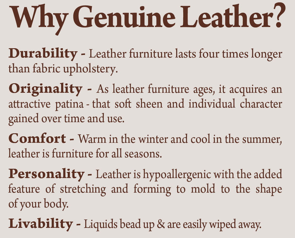 Leather care information graphic with durability comfort and livability bullet points.