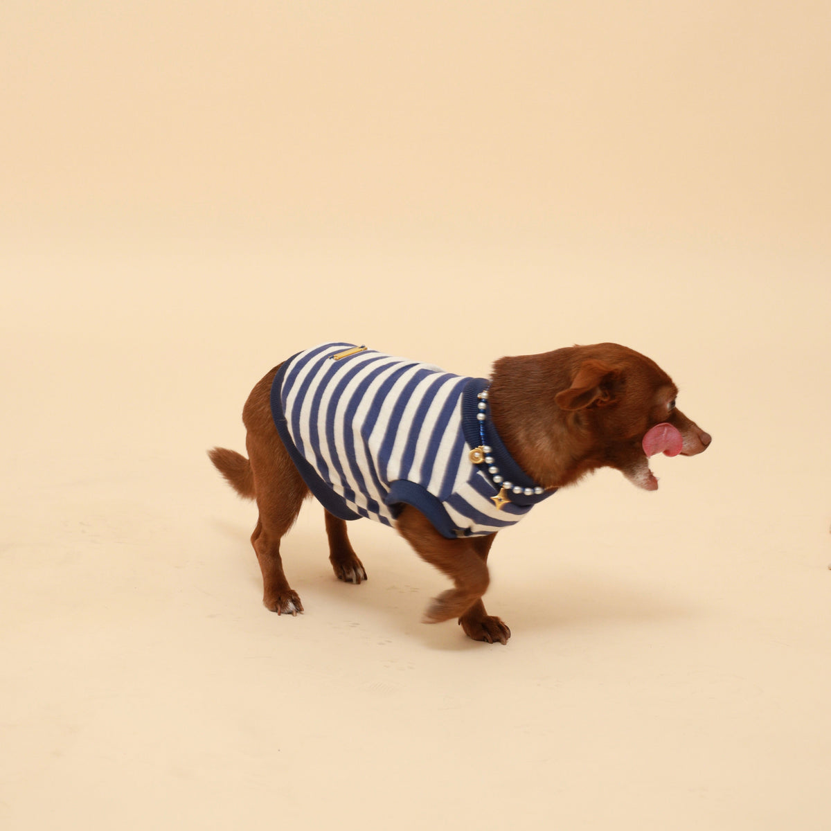 Blue and white striped cotton tank top with navy trim, sleeveless fit