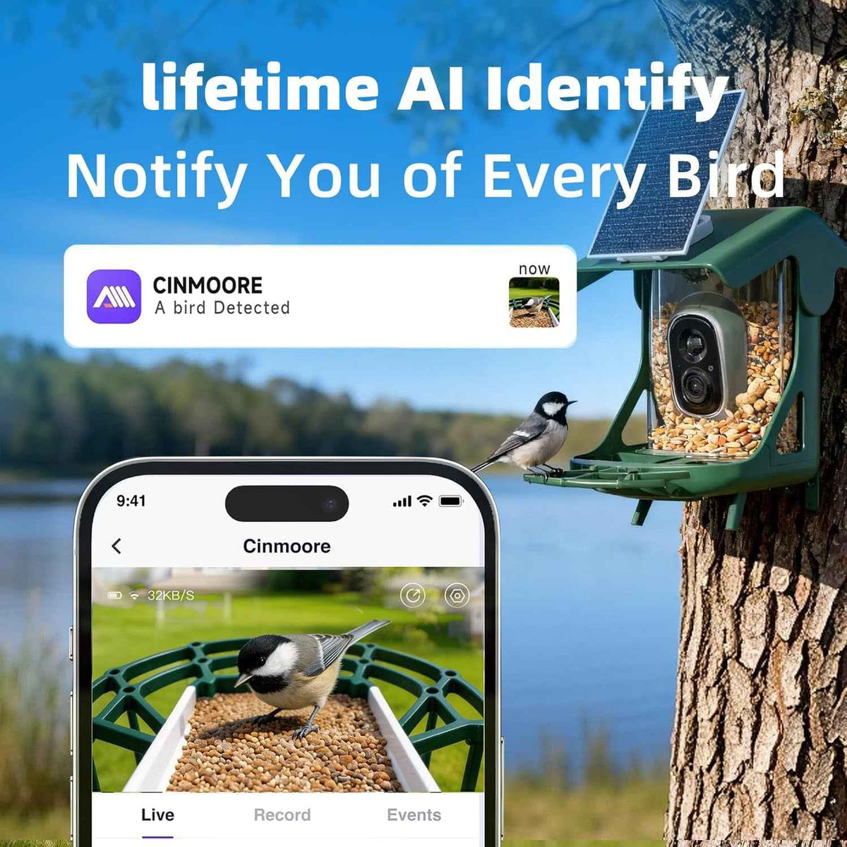 Green bird feeder camera with solar panel and seed hopper