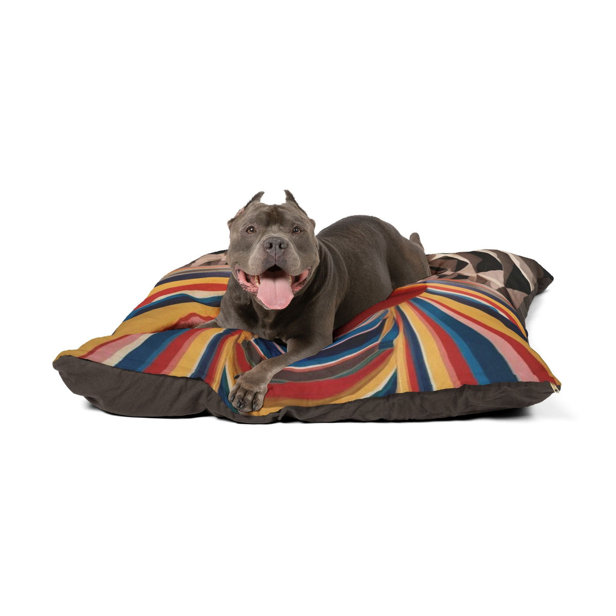 Plush pet bed with multicolor striped top and geometric accent; dog resting on it
