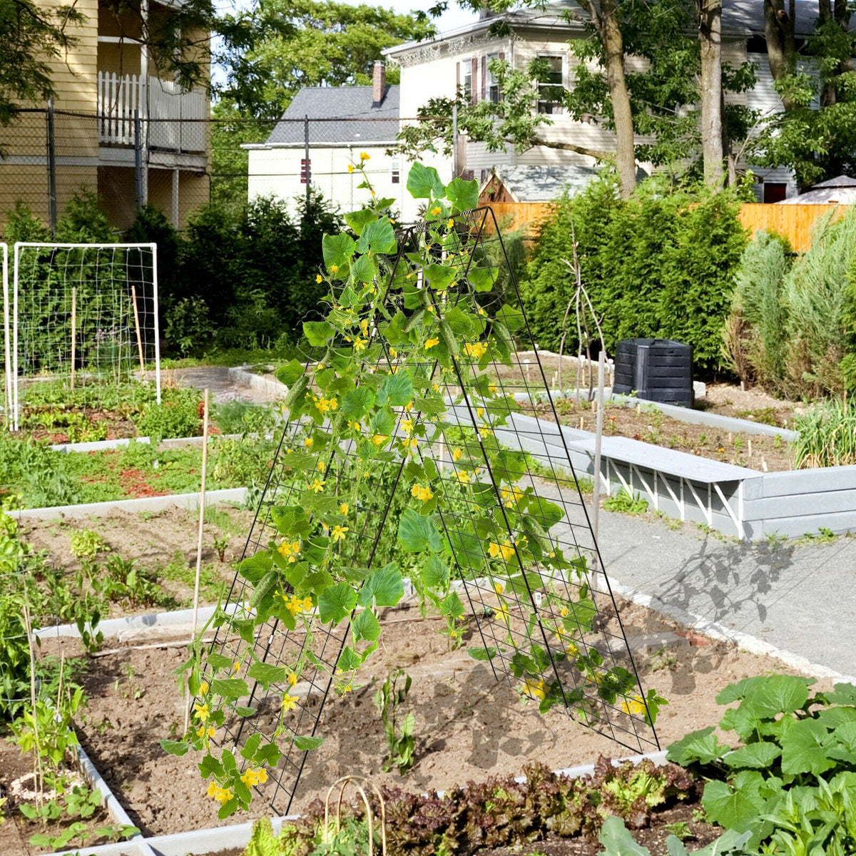 Two green A-frame trellis supports with climbing plants in a garden bed