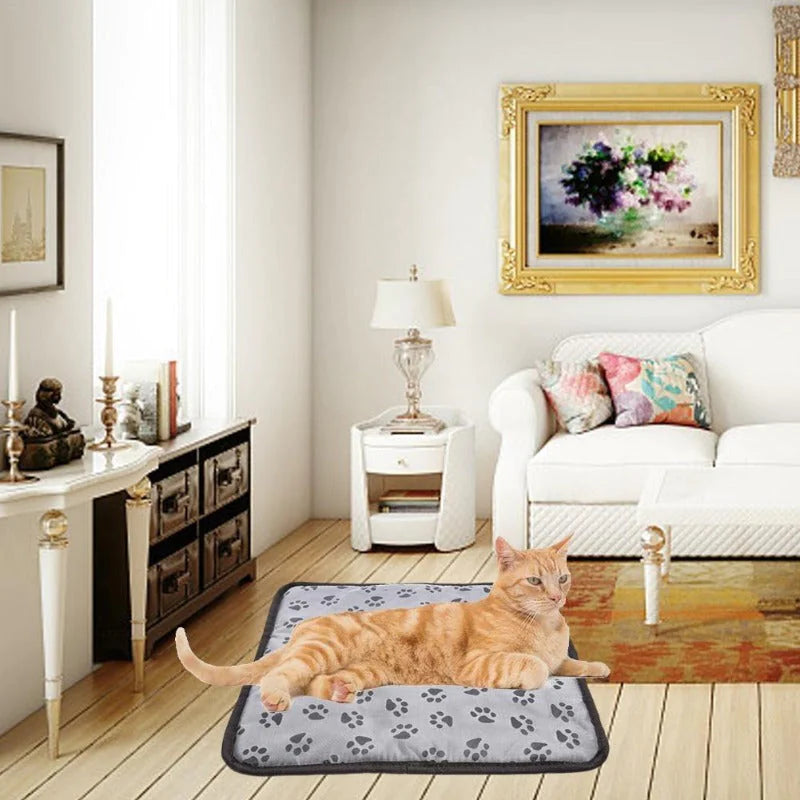 Cat lying on a gray heated pet blanket with paw-print design on the floor