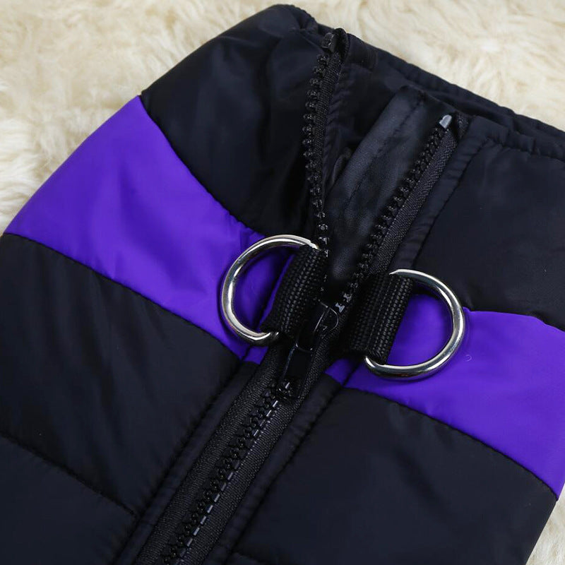 Close-up of black pet puffer vest with purple stripe, zipper, and D-ring