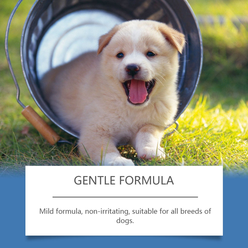 Pet hot spot spray gentle formula callout over a happy dog outdoors.