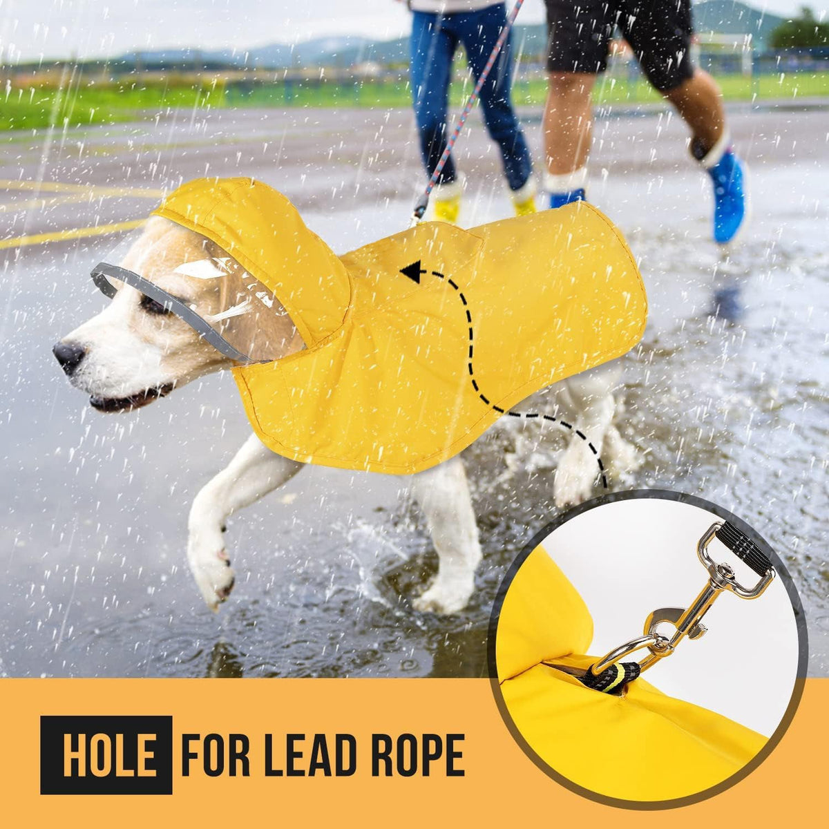 Yellow hooded waterproof dog raincoat in rain with lead rope hole detail