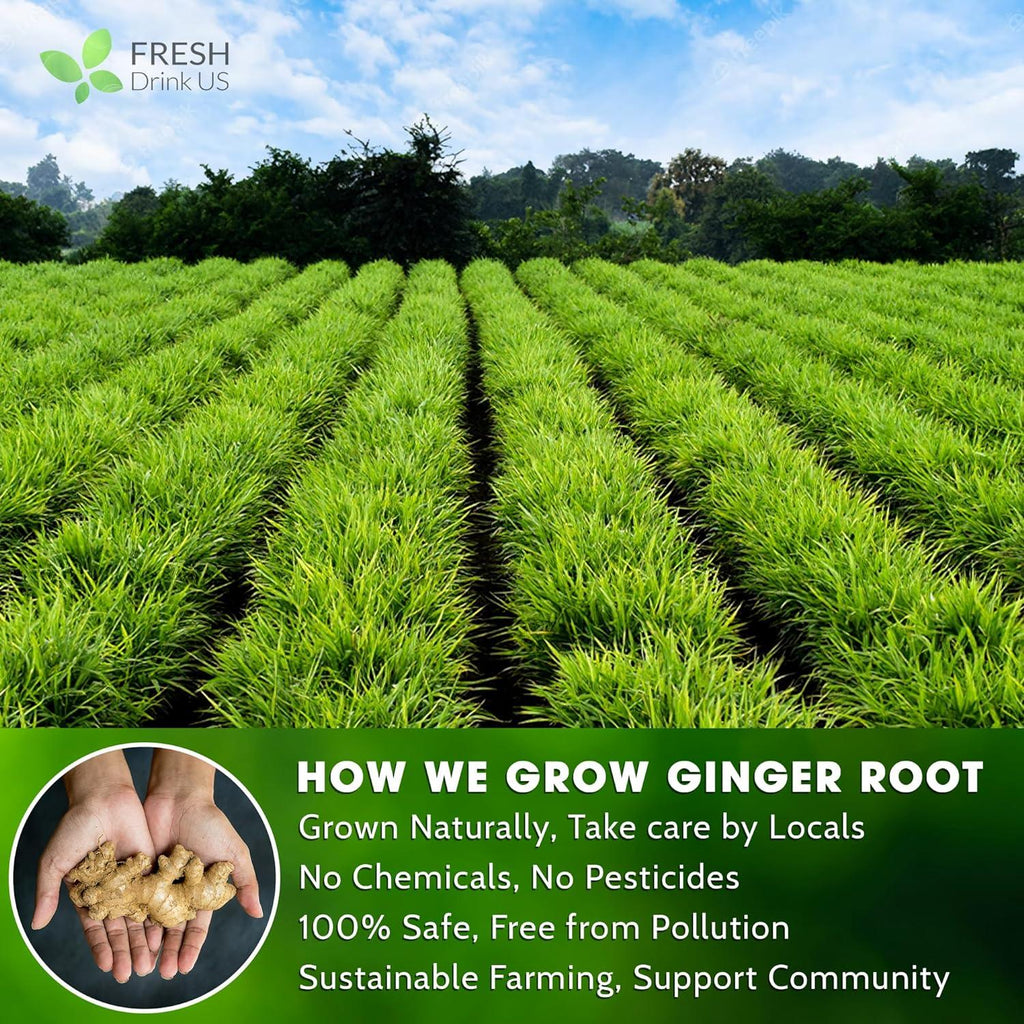 Ginger root field with 'How we grow ginger root' farming panel