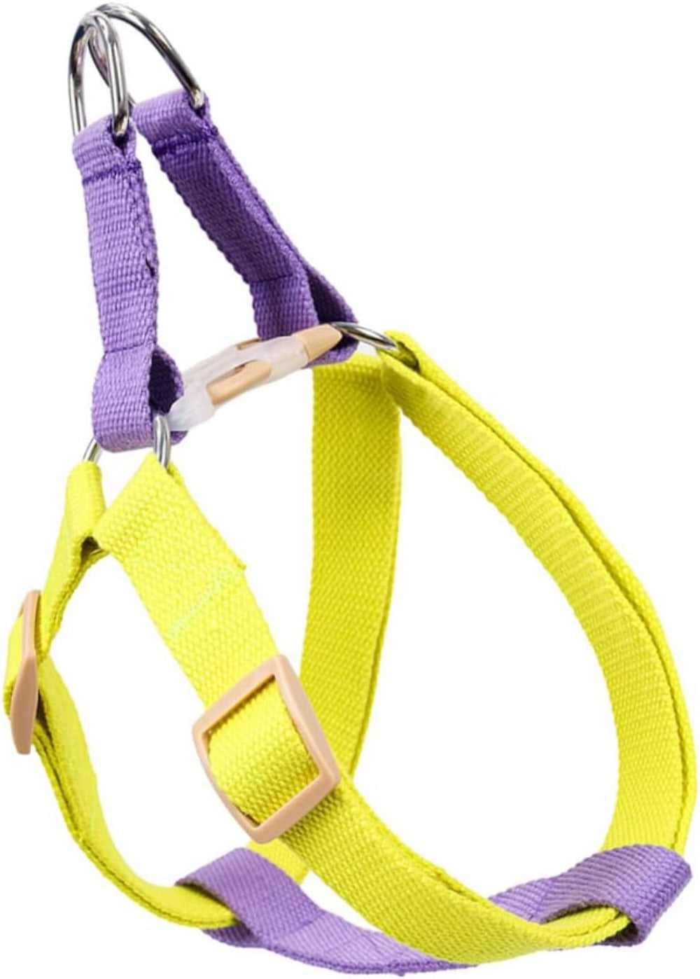 Nylon dog harness with purple and yellow webbing and metal D-ring attachment