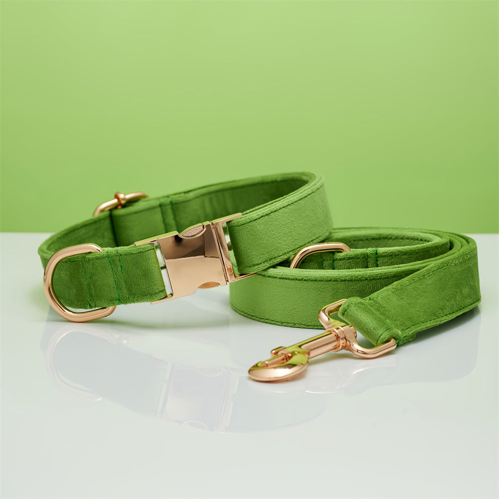 Velvet dog collar and leash set in green with rose-gold buckle and clips