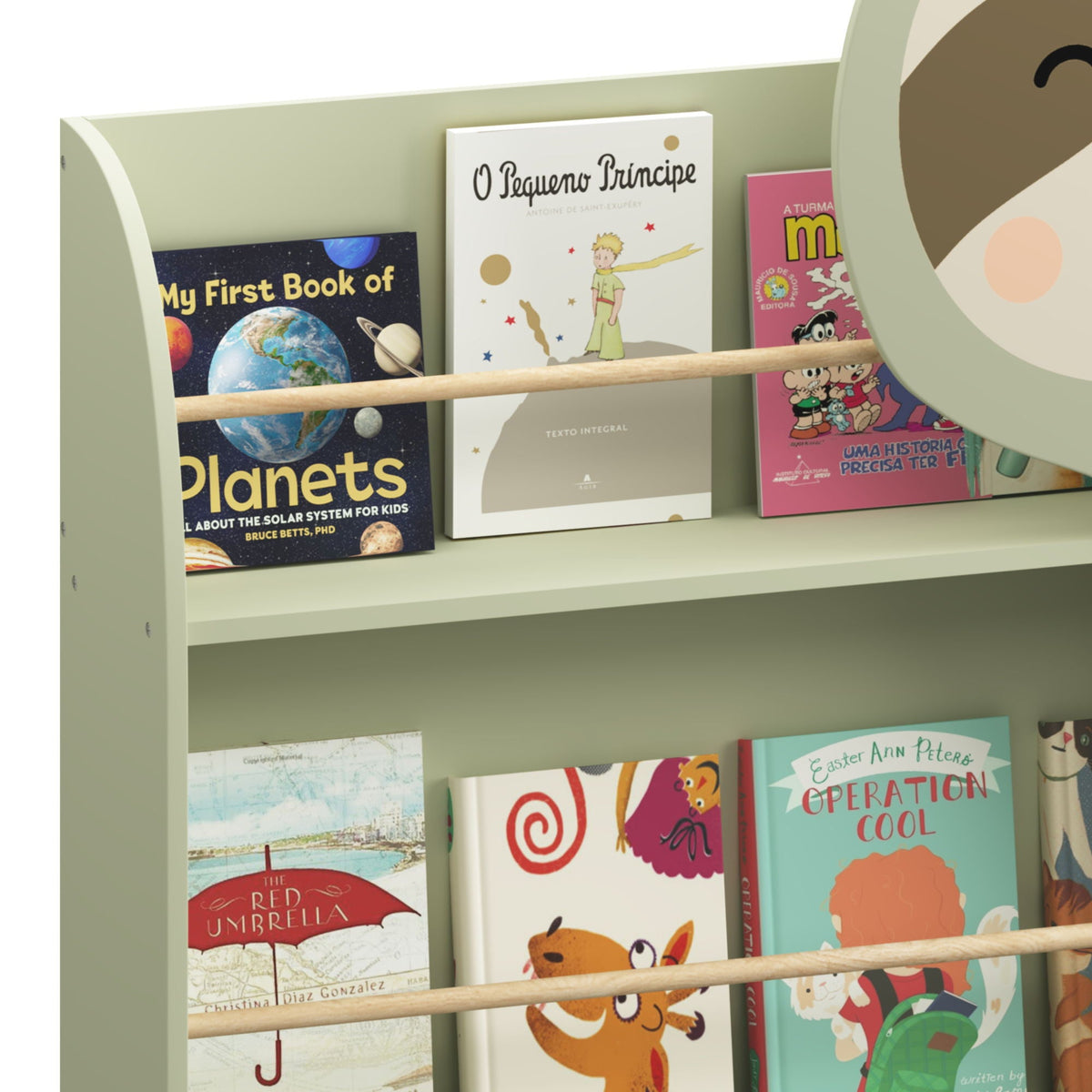 Sage green 3-tier sloth-themed book rack with horizontal rails and book spines