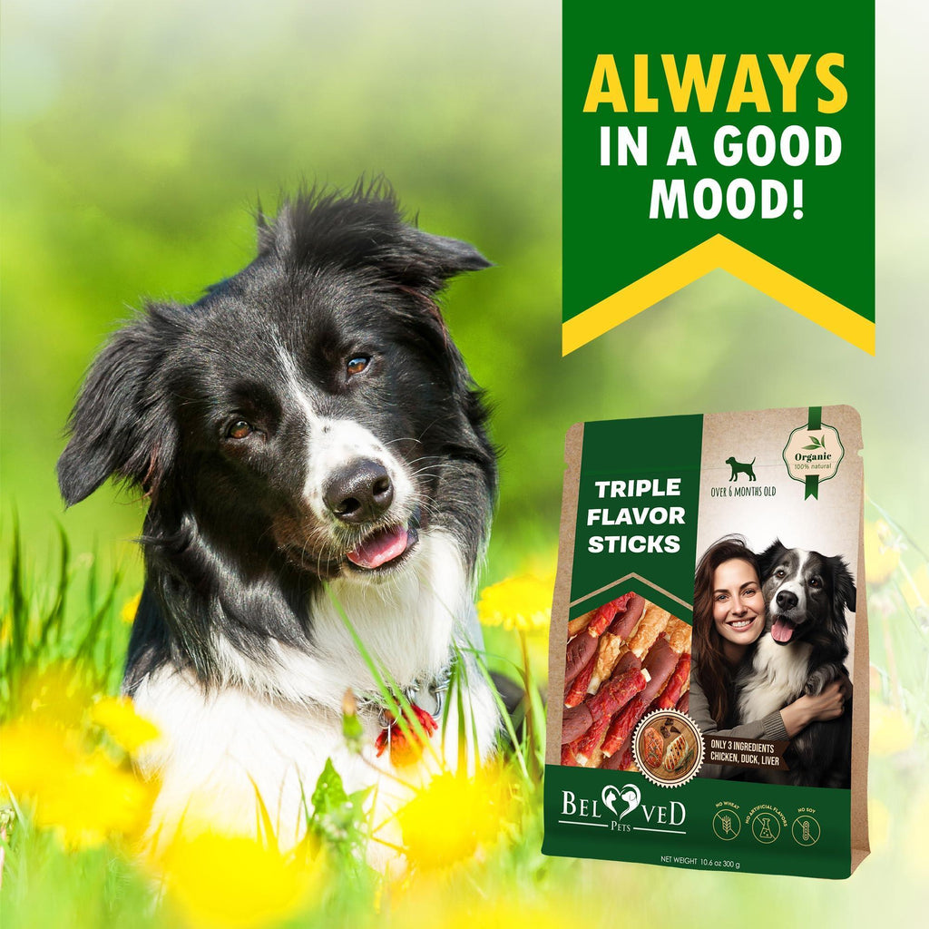 Dog with treat pack on front of image for rawhide triple flavor chews