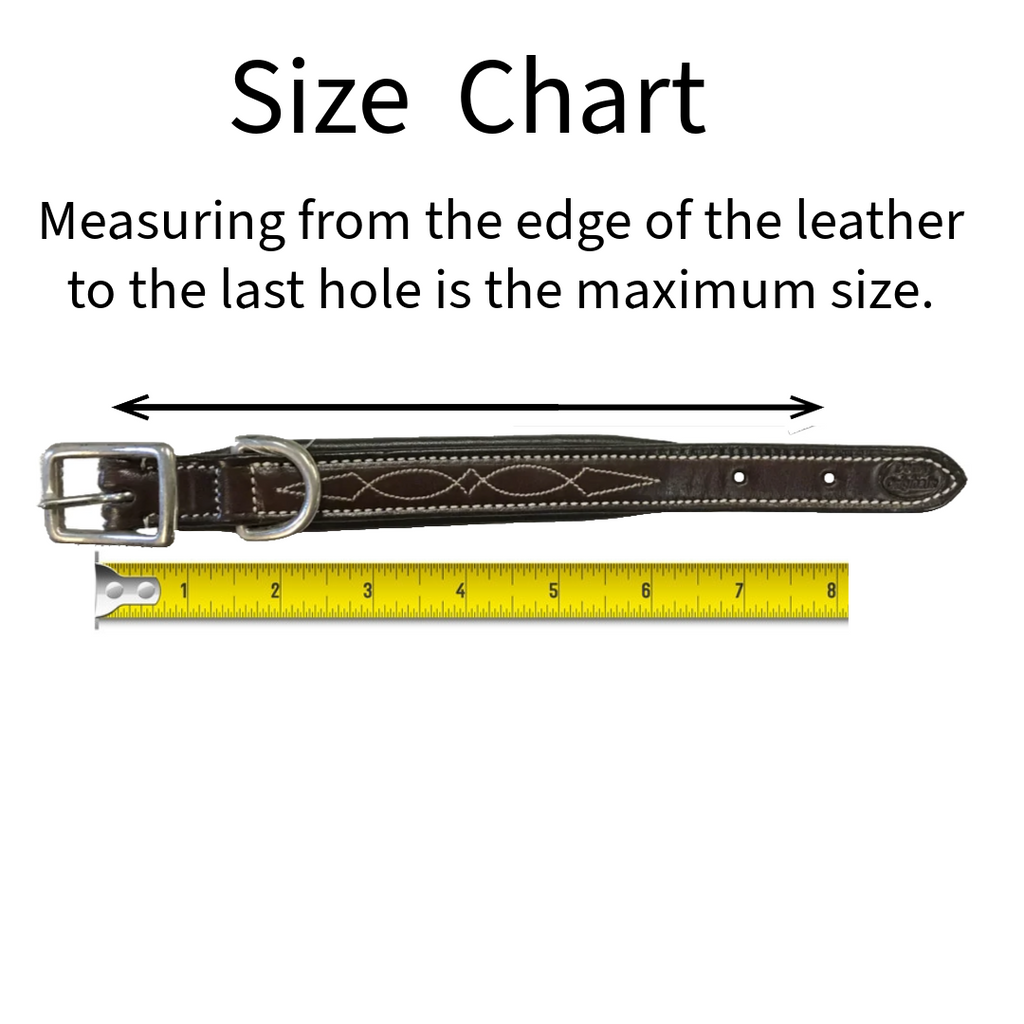 Dog collar sizing guide: ruler beside dark leather collar with metal buckle