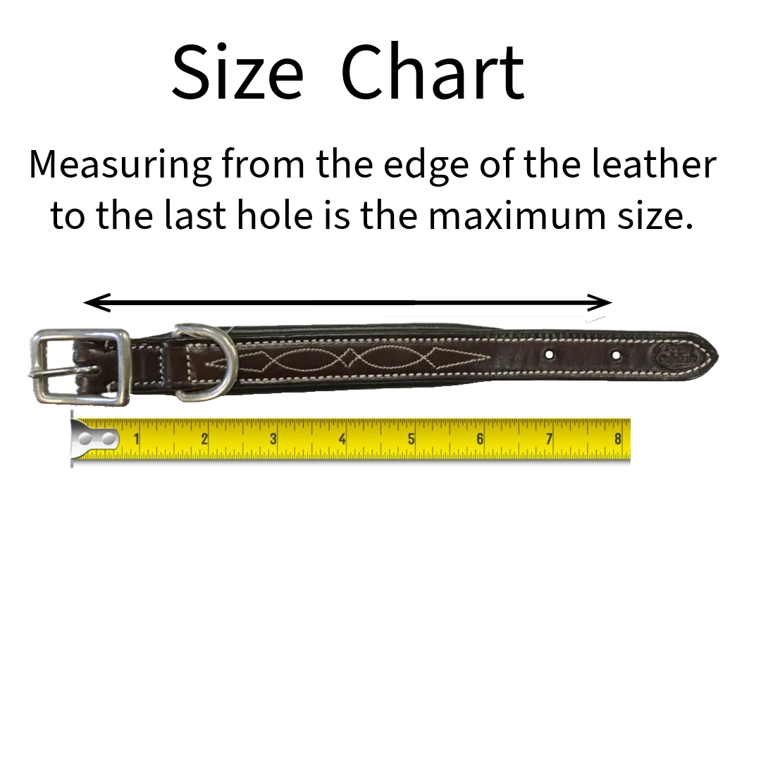 Dog collar sizing guide: ruler beside dark leather collar with metal buckle