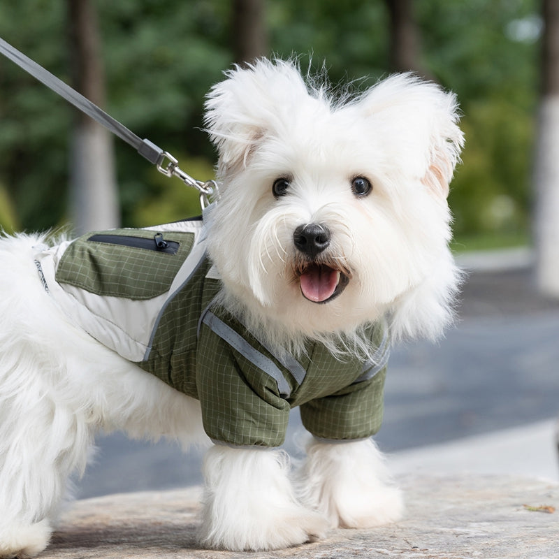 Small pet windbreaker coat in green plaid, padded with hood and front harness strap