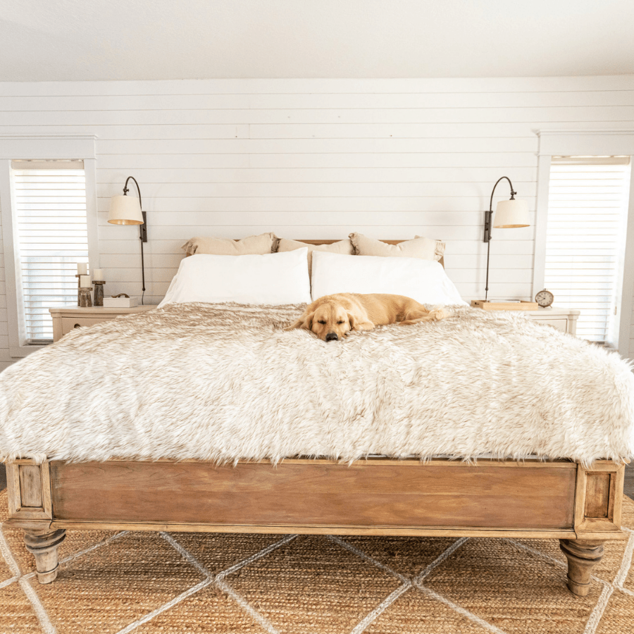 Waterproof faux-fur throw blanket, light beige, draped on bed with dog