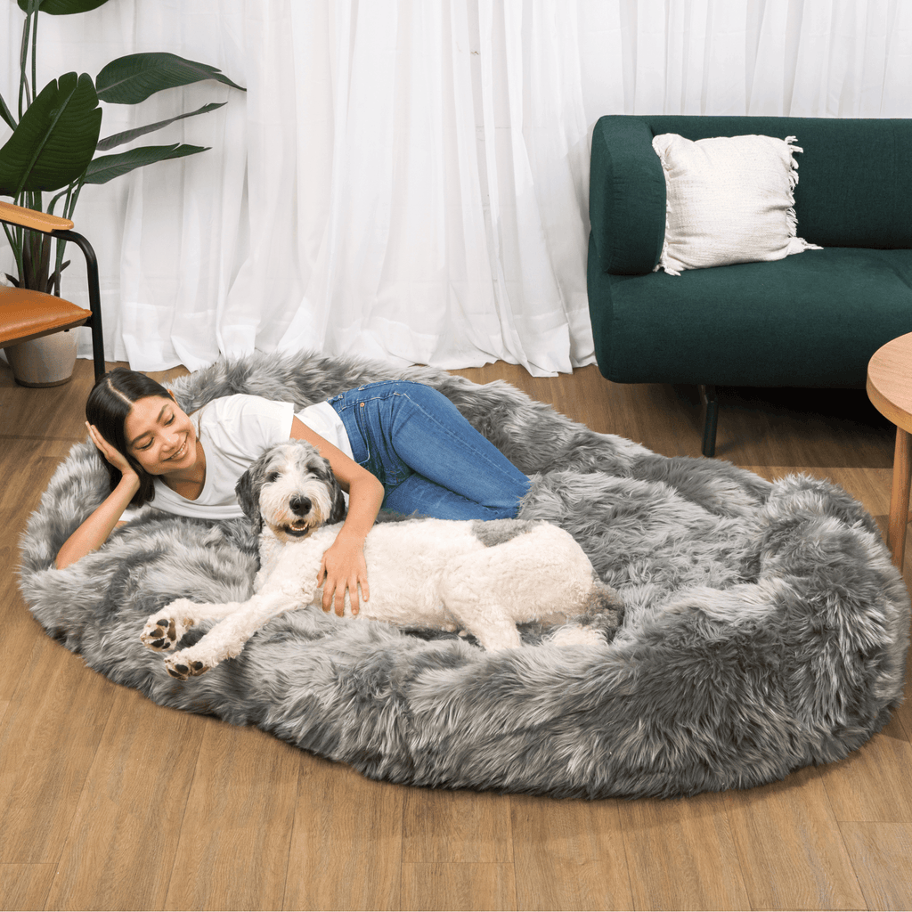 Charcoal grey faux fur memory foam dog bed with a dog lying down beside a person