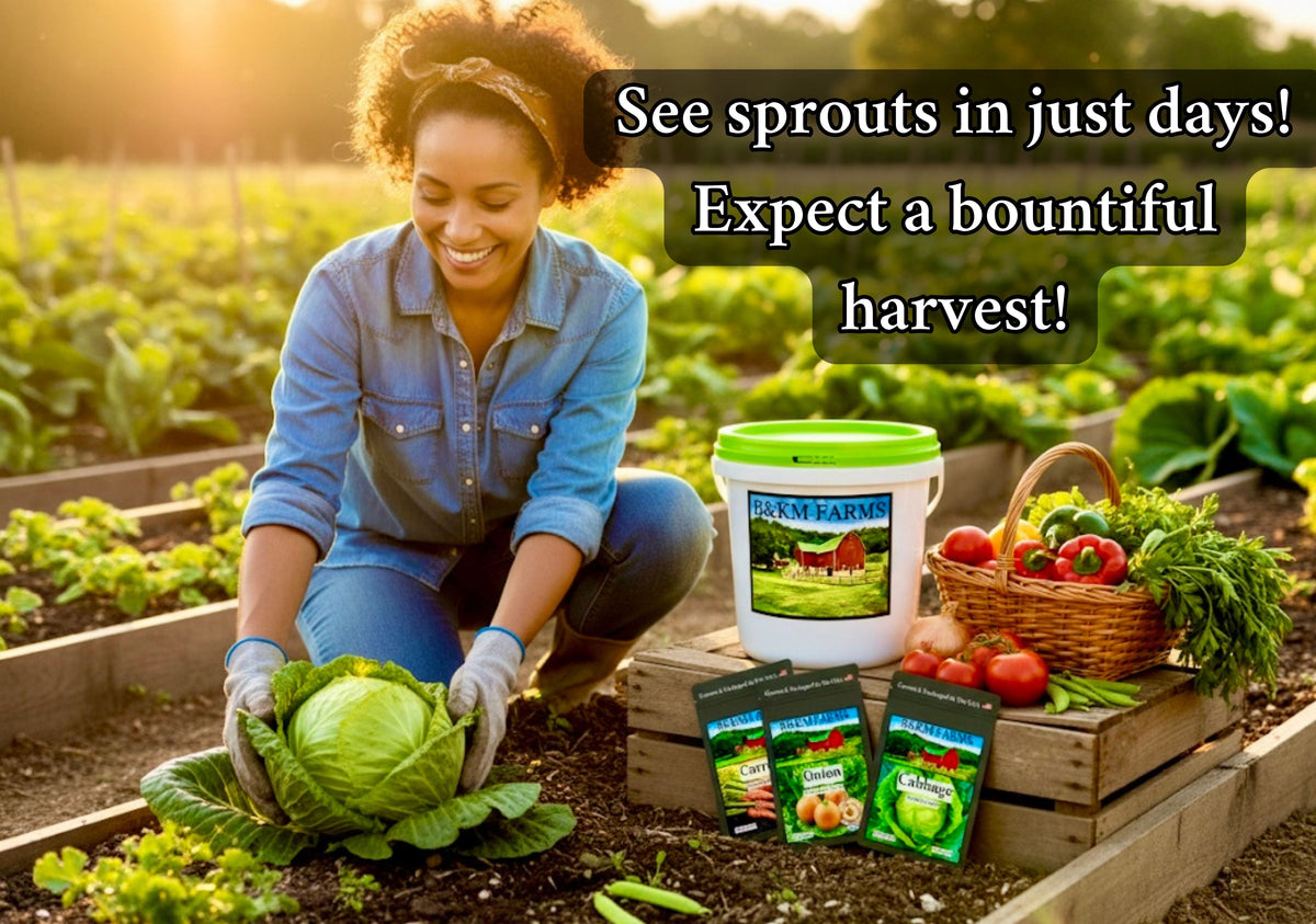 Outdoor vegetable seed kit with green-lid container and small seed packets