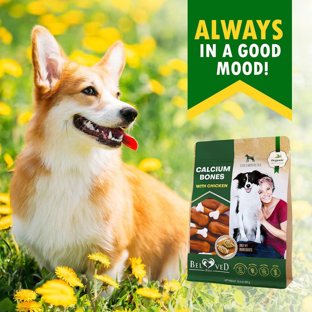 Dog next to calcium bones chicken treat pouch with green branding and logo