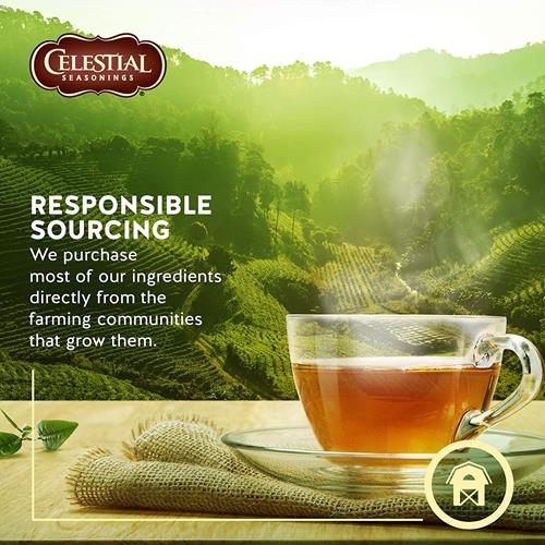 Sleepytime herbal tea responsible sourcing packaging with teacup and tea landscape