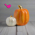 Nora Fleming mini pumpkin spice topper: orange pumpkin with gold stem and white pumpkin