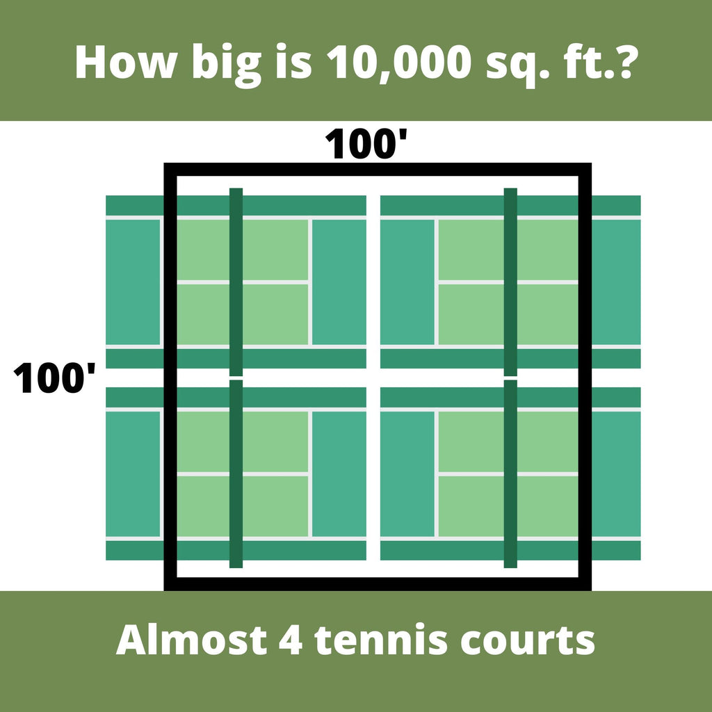 Lawn seed kit coverage infographic: 10,000 sq ft, almost 4 tennis courts