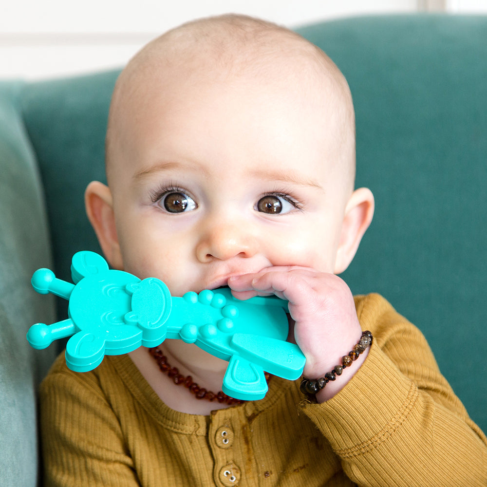 Turquoise bear-shaped teething toy held to a baby’s mouth