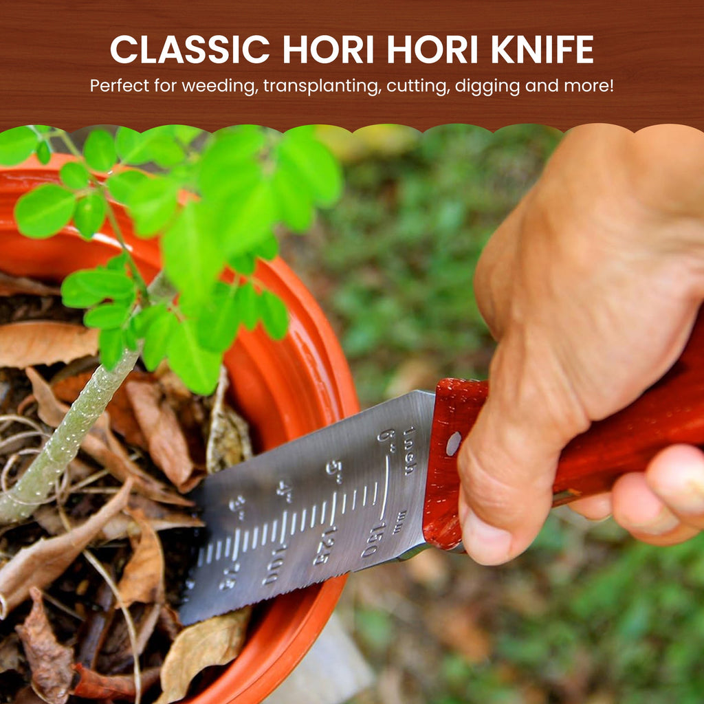 Garden knife with red-brown wood handle in hand near planted pot and soil