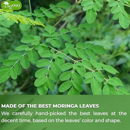 Close-up of fresh green moringa leaves on branches