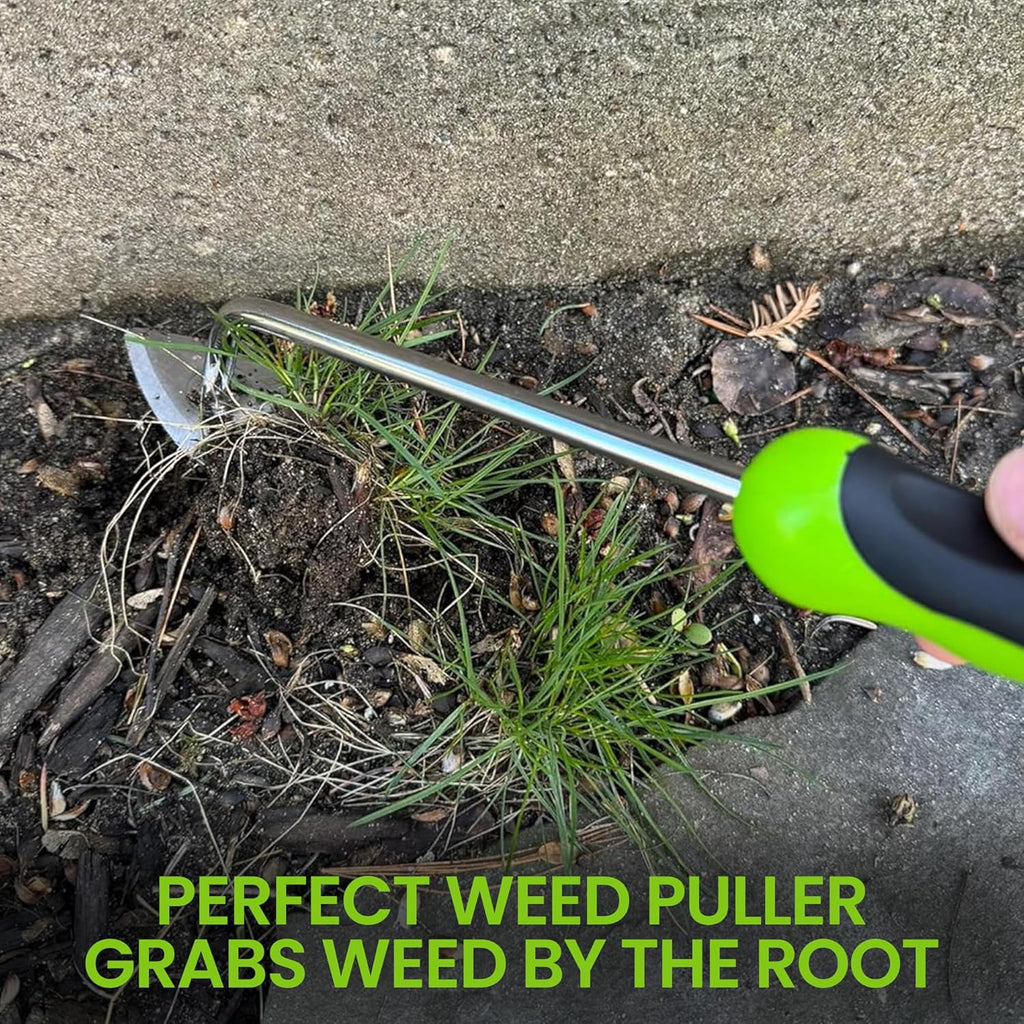 Garden weeder tool with green handle and three-prong metal head near weeds