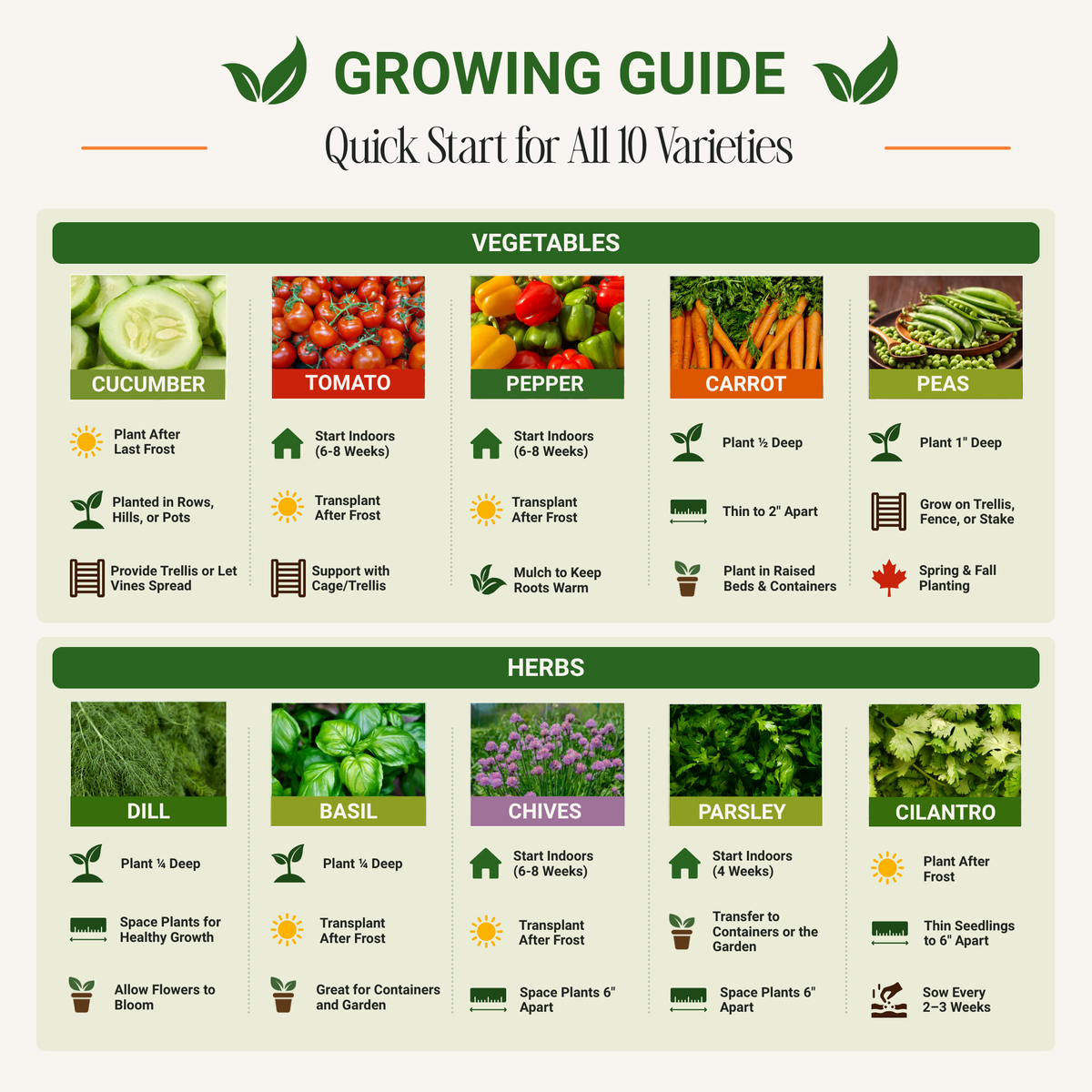 Growing guide chart showing vegetables and herbs with plant steps and timing