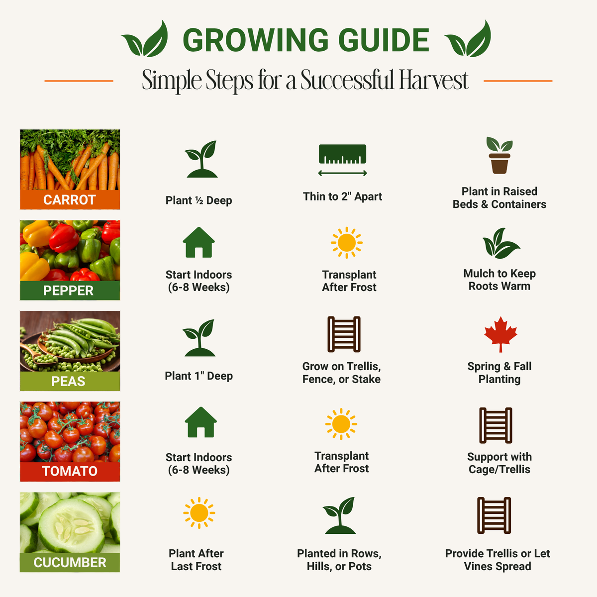 Vegetable seed set growing guide infographic with plant depth and spacing steps