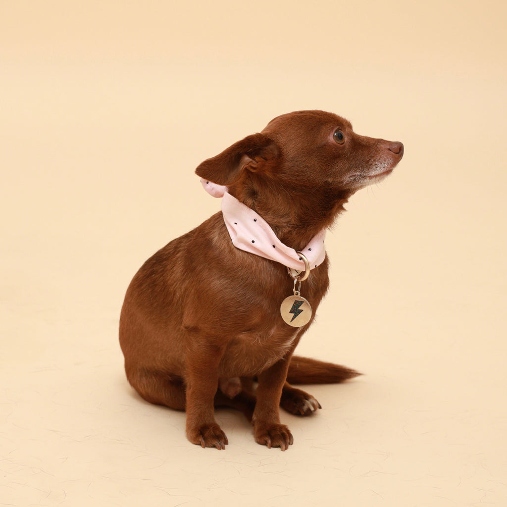 Pink polka-dot dog neckerchief with small tie detail