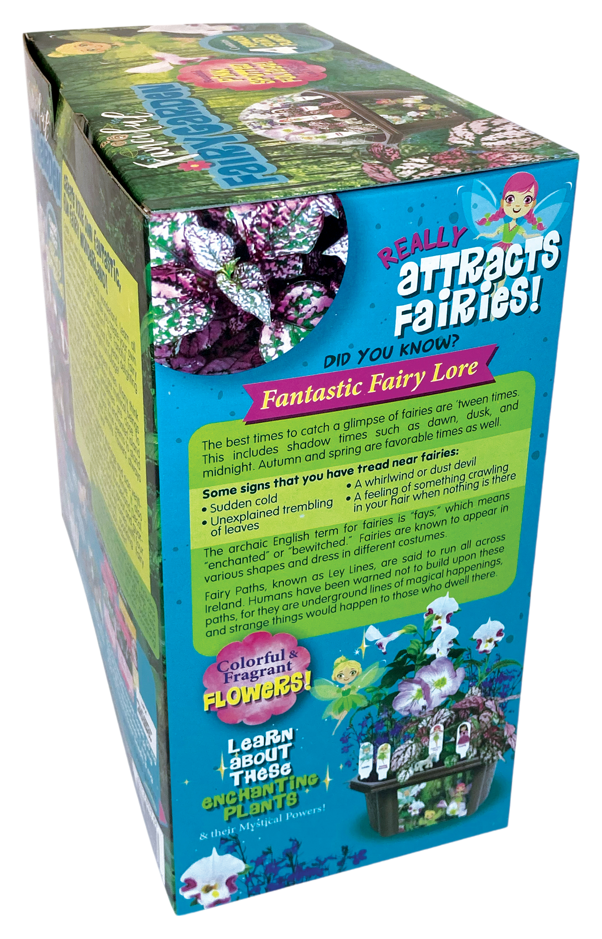 Fairy Garden terrarium kit box side panel with plant descriptions and product details
