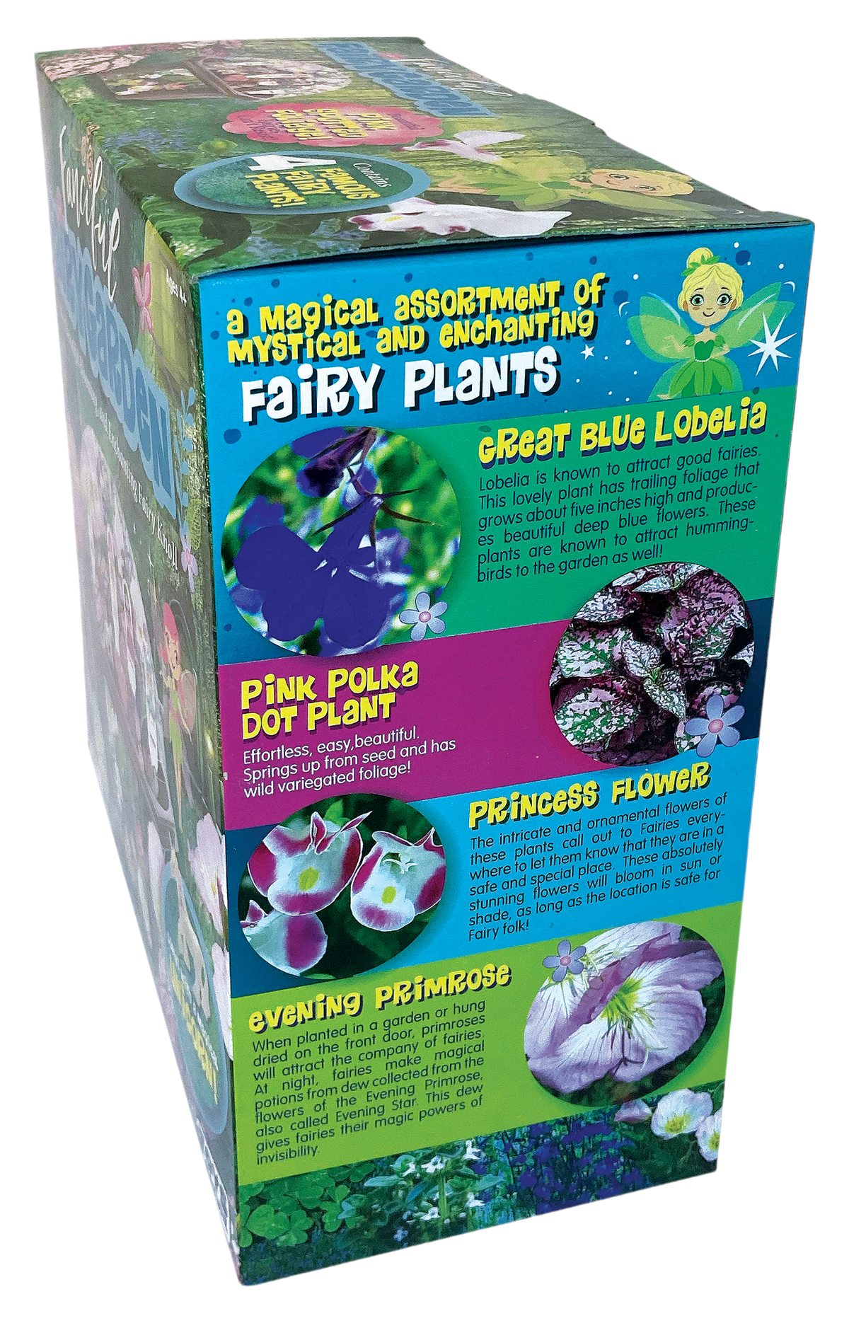 Fairy Garden terrarium kit box side panel describing four flowering plants