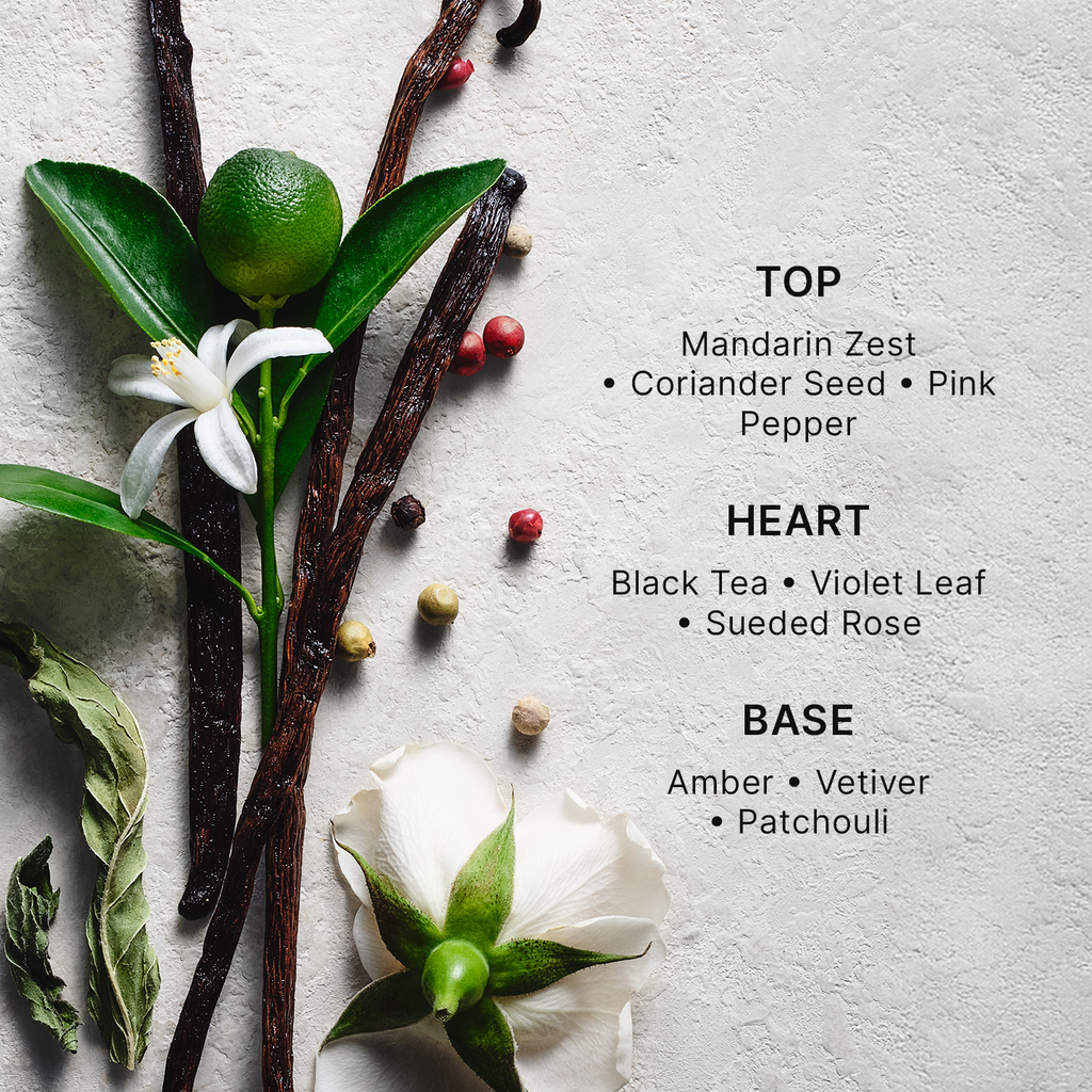 Fragrance ingredient flat lay with vanilla pod, flowers, leaves, and spices