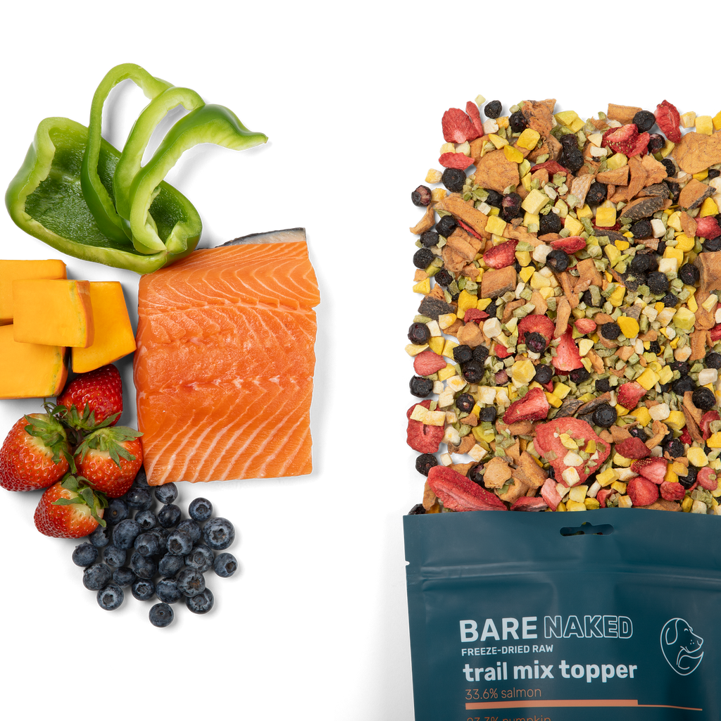 Freeze-dried trail mix topper ingredients pile with salmon pieces, peppers, berries, and pouch